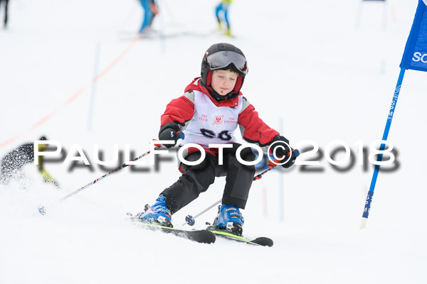 Schongauer Zwergerlrennen 28.01.2018
