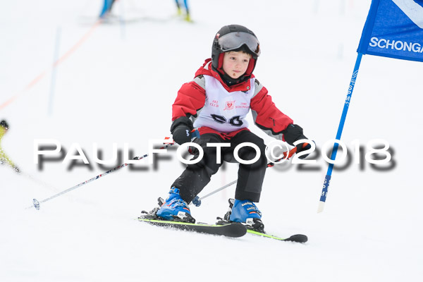 Schongauer Zwergerlrennen 28.01.2018