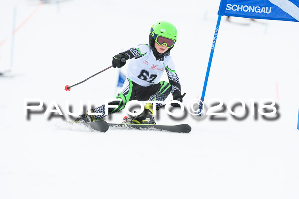 Schongauer Zwergerlrennen 28.01.2018