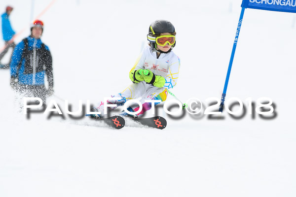 Schongauer Zwergerlrennen 28.01.2018