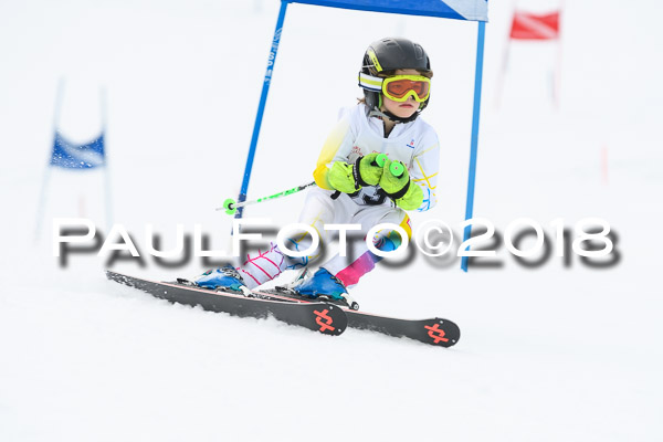Schongauer Zwergerlrennen 28.01.2018