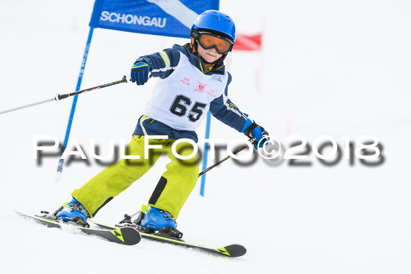 Schongauer Zwergerlrennen 28.01.2018