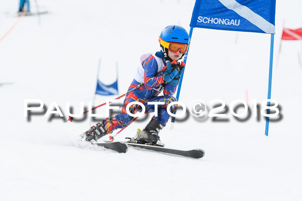 Schongauer Zwergerlrennen 28.01.2018