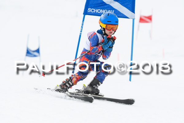 Schongauer Zwergerlrennen 28.01.2018