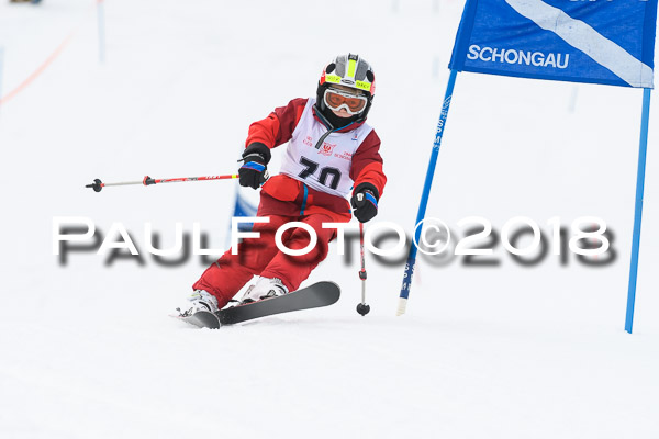 Schongauer Zwergerlrennen 28.01.2018
