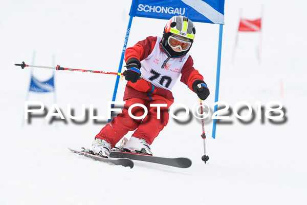 Schongauer Zwergerlrennen 28.01.2018
