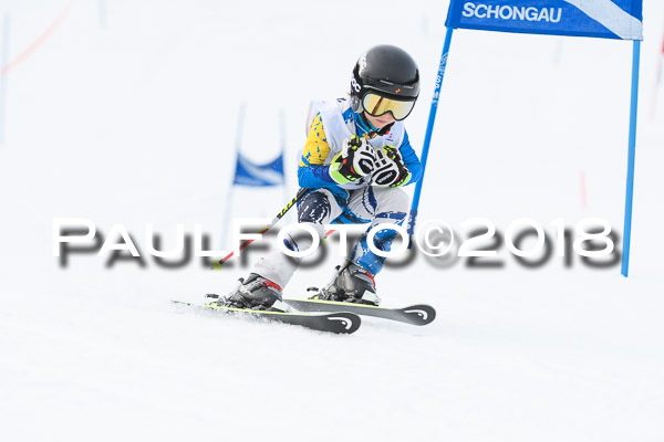 Schongauer Zwergerlrennen 28.01.2018