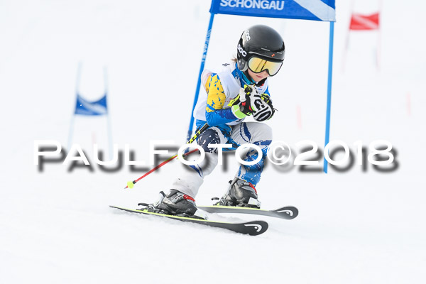 Schongauer Zwergerlrennen 28.01.2018