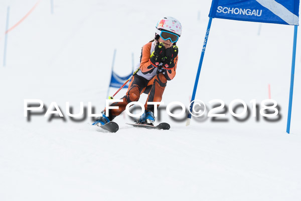 Schongauer Zwergerlrennen 28.01.2018