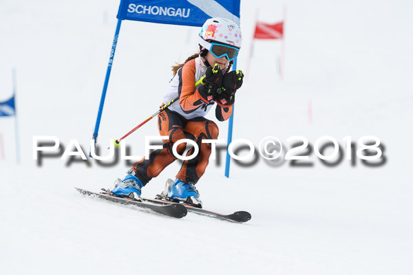 Schongauer Zwergerlrennen 28.01.2018