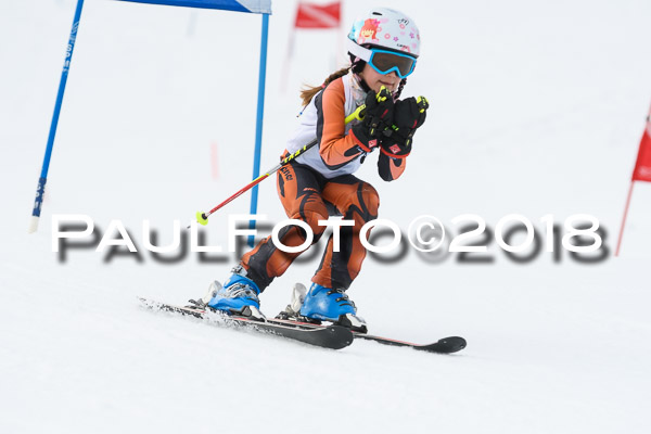 Schongauer Zwergerlrennen 28.01.2018