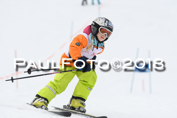 Schongauer Zwergerlrennen 28.01.2018