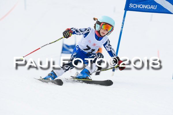 Schongauer Zwergerlrennen 28.01.2018