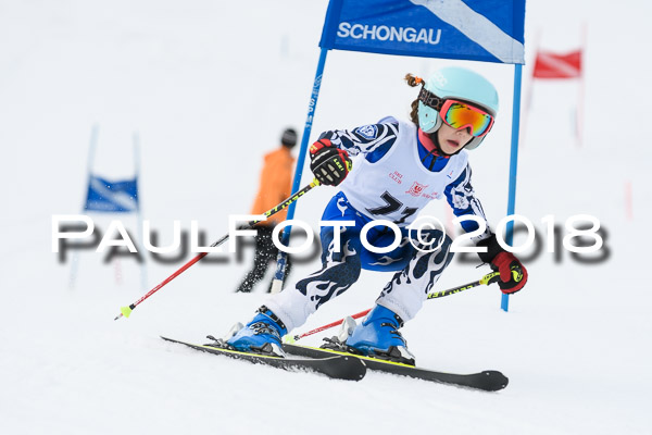 Schongauer Zwergerlrennen 28.01.2018