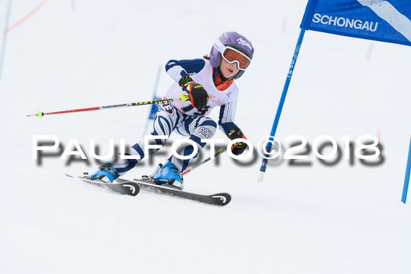 Schongauer Zwergerlrennen 28.01.2018