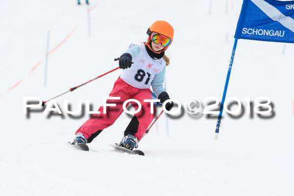Schongauer Zwergerlrennen 28.01.2018