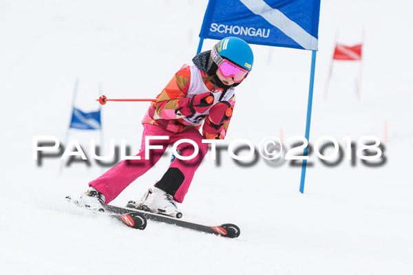 Schongauer Zwergerlrennen 28.01.2018
