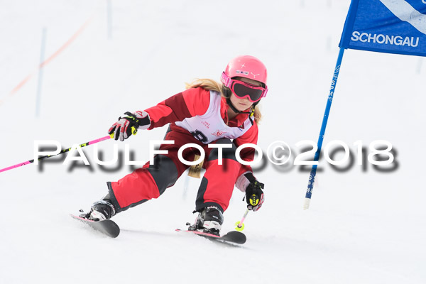 Schongauer Zwergerlrennen 28.01.2018