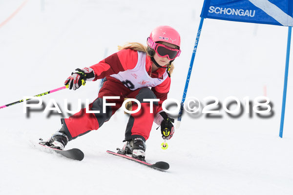 Schongauer Zwergerlrennen 28.01.2018