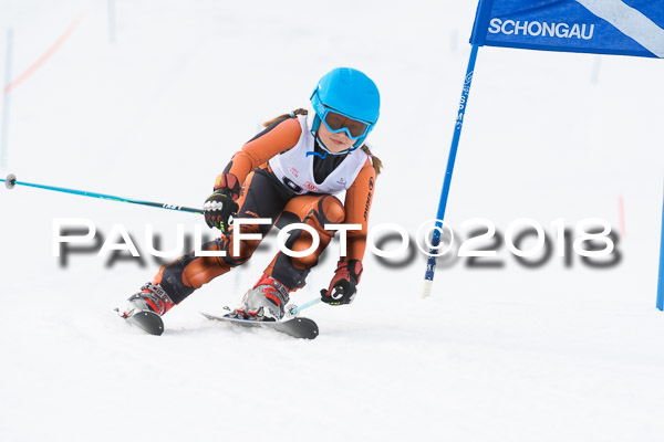 Schongauer Zwergerlrennen 28.01.2018