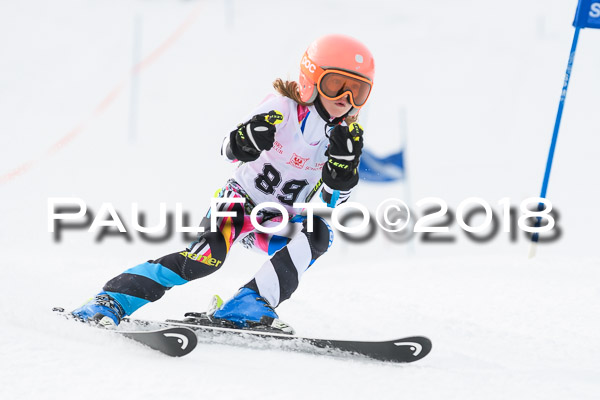 Schongauer Zwergerlrennen 28.01.2018
