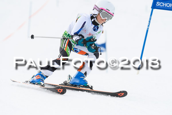 Schongauer Zwergerlrennen 28.01.2018