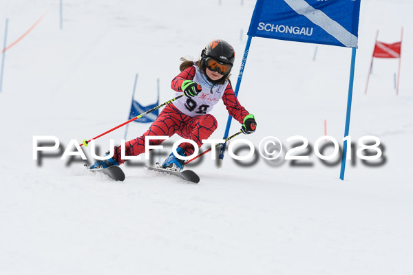 Schongauer Zwergerlrennen 28.01.2018