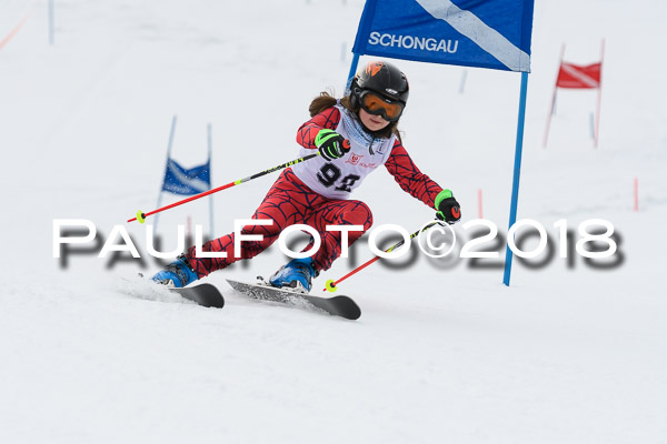 Schongauer Zwergerlrennen 28.01.2018