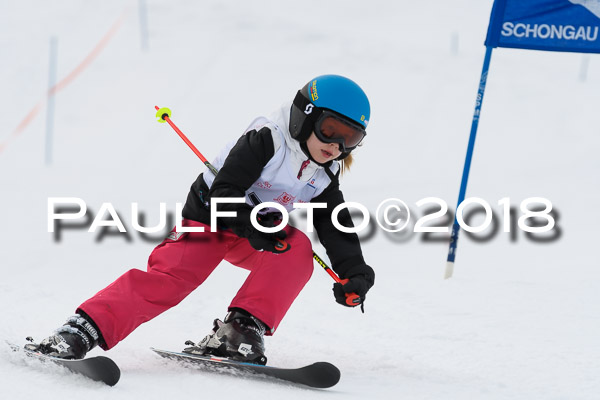 Schongauer Zwergerlrennen 28.01.2018