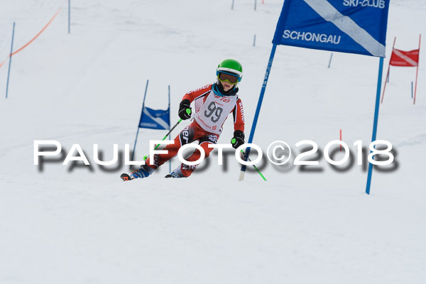 Schongauer Zwergerlrennen 28.01.2018