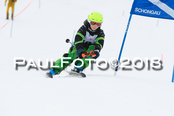 Schongauer Zwergerlrennen 28.01.2018