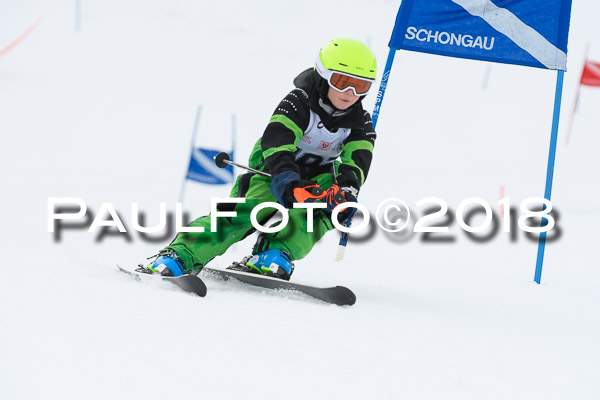 Schongauer Zwergerlrennen 28.01.2018