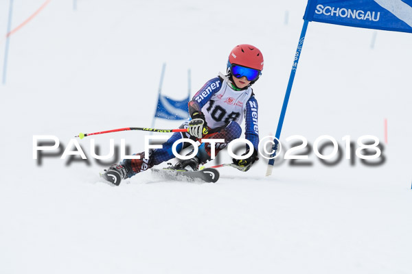 Schongauer Zwergerlrennen 28.01.2018