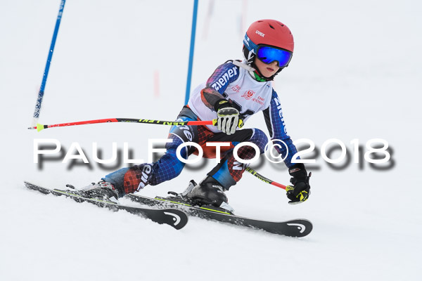 Schongauer Zwergerlrennen 28.01.2018