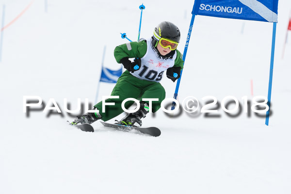 Schongauer Zwergerlrennen 28.01.2018