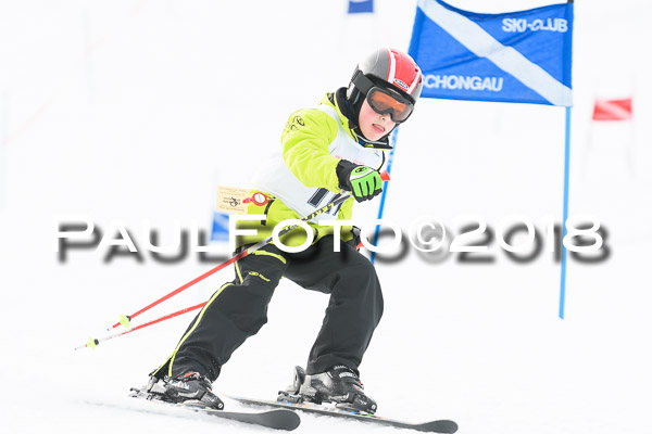 Schongauer Zwergerlrennen 28.01.2018