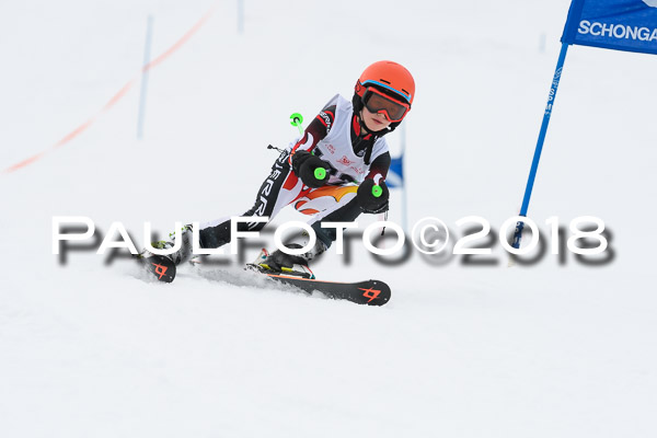 Schongauer Zwergerlrennen 28.01.2018