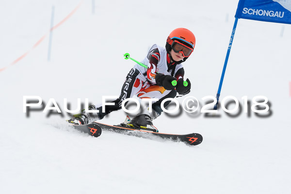 Schongauer Zwergerlrennen 28.01.2018