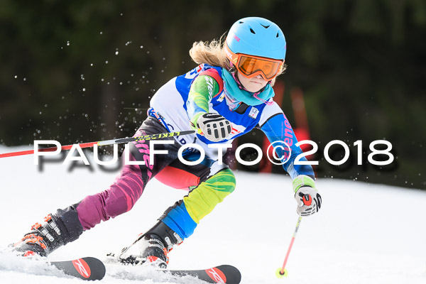 Schongauer Zwergerlrennen 28.01.2018
