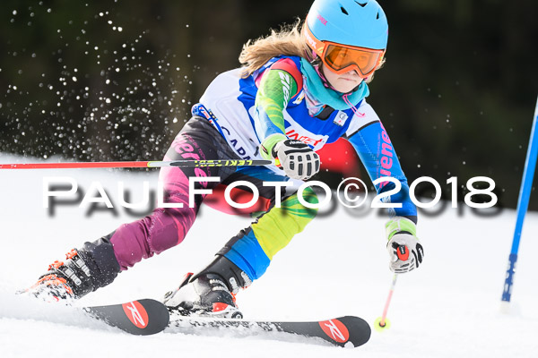 Schongauer Zwergerlrennen 28.01.2018