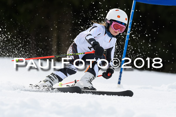 Schongauer Zwergerlrennen 28.01.2018