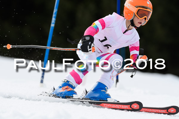 Schongauer Zwergerlrennen 28.01.2018