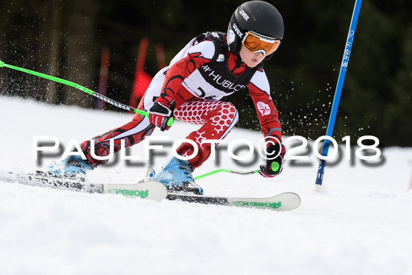 Schongauer Zwergerlrennen 28.01.2018