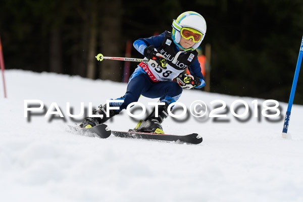 Schongauer Zwergerlrennen 28.01.2018