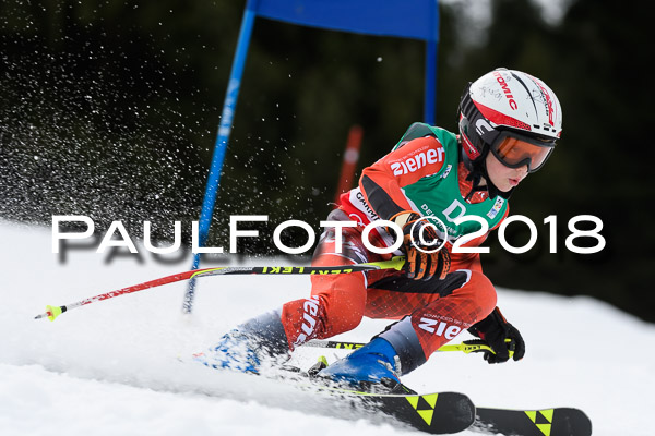 Schongauer Zwergerlrennen 28.01.2018