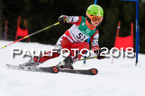 Schongauer Zwergerlrennen 28.01.2018