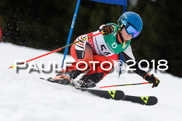Schongauer Zwergerlrennen 28.01.2018