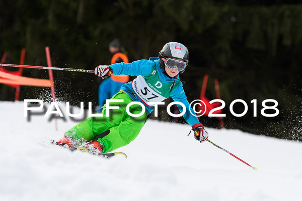 Schongauer Zwergerlrennen 28.01.2018
