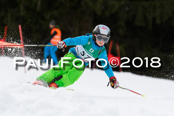 Schongauer Zwergerlrennen 28.01.2018