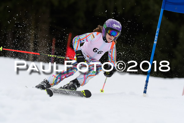 Schongauer Zwergerlrennen 28.01.2018